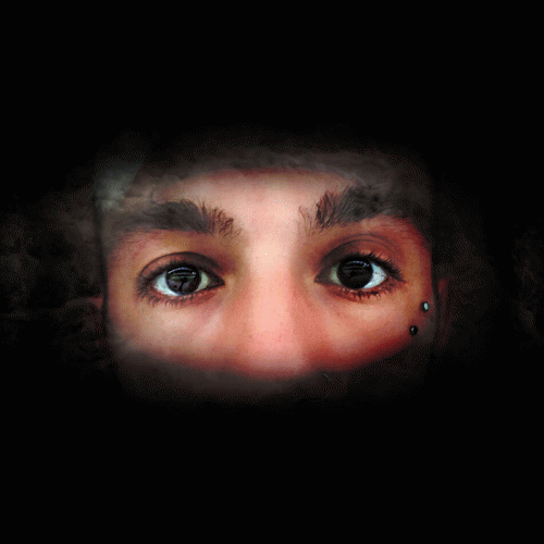 When Wild Dingos Attack : Untitled Demo 2016